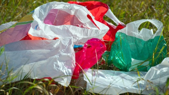 EU-Parlament diskutiert über Plastikverbot
