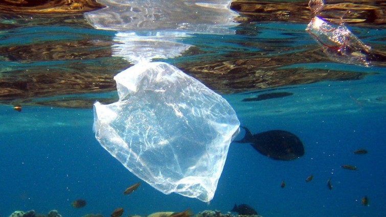 EU-Parlament diskutiert über Plastikverbot