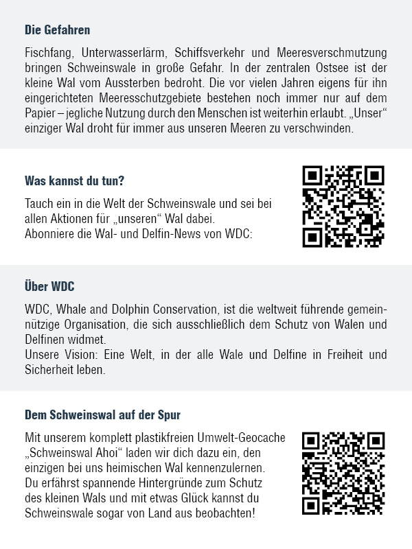 Unsere Kooperation mit WDC - WHALE AND DOLPHIN CONSERVATION