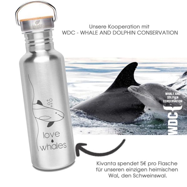 Unsere Kooperation mit WDC - WHALE AND DOLPHIN CONSERVATION