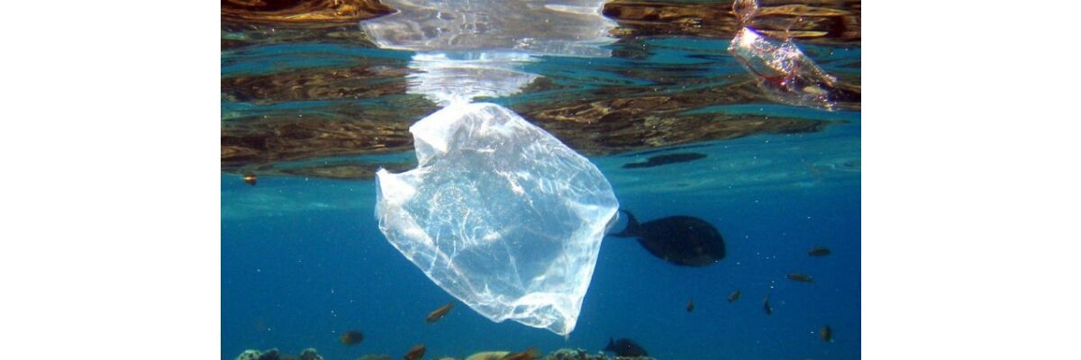 EU-Parlament diskutiert über Plastikverbot - 