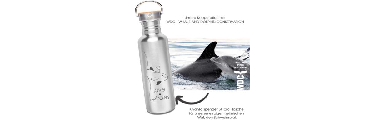Unsere Kooperation mit WDC - WHALE AND DOLPHIN CONSERVATION - 