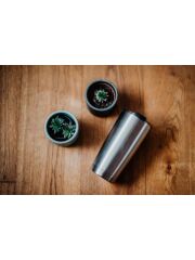 LunchBuddy isolierter Kaffeebecher XL 570 ml - MOM EDITON