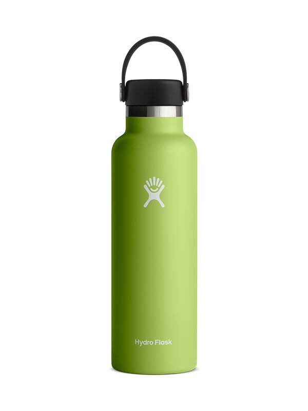 Hydro Flask 21 oz (621 ml) Standard Mouth isolierte Trinkflasche mit Flex Cap - Seagrass NEU!