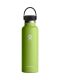 Hydro Flask 21 oz (621 ml) Standard Mouth isolierte Trinkflasche mit Flex Cap - Seagrass