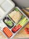 Ecococoon - Bento Lunchbox auslaufsicher aus Edelstahl mit 5 Fächern / grape