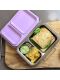 Ecococoon - Bento Lunchbox auslaufsicher aus Edelstahl mit 2 Fächern / grape