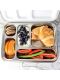Ecococoon - Bento Lunchbox auslaufsicher aus Edelstahl mit 5 Fächern / Blueberry