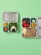 PlanetBox Brotdosen Einsätze für Launch und Shuttle (2 Stk.) - Forest