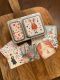 LunchBuddy Add-Ons Magnetset für LunchBuddy Duo & 5 Stars / 4teilig - rot / weiß / grün (1)
