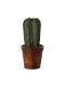 Maileg Blumentopf mit Kaktus