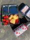 LunchBuddy Lunchbox Duo, Basic-Magnete & Add-Ons