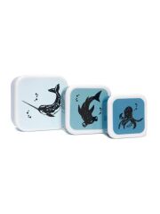 Petit Monkey Dosen-Set / Ozean