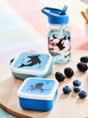 Petit Monkey Dosen-Set / Ozean