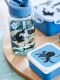 Petit Monkey Dosen-Set / Ozean