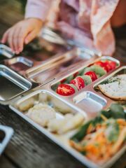 LunchBuddy Lunchbox &quot;5 Stars&quot; mit 5 F&auml;chern / B-Ware