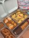 LunchBuddy Lunchbox "Bento Five" - Blau / MARLO