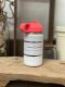 LunchBuddy 350 ml Wide "Kids" Isolierflasche mit Hydro Flask Deckel | Weiß